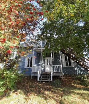 The Blue House